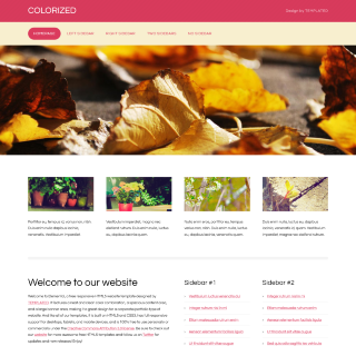 Colorized: Responsive Html5 Templates 